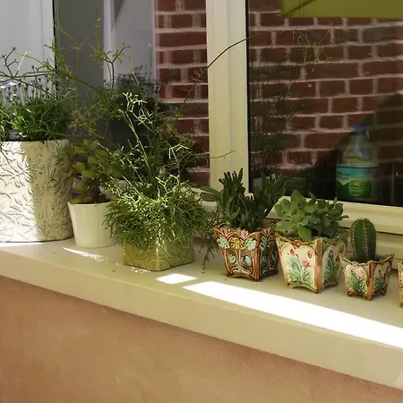 Le Kiosque D'hotes 3* Amiens